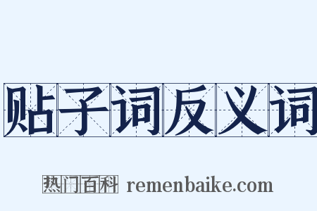 贴子词反义词是什么意思的图片